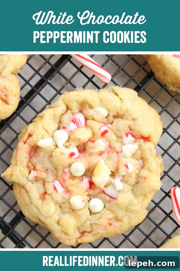 Pinterest picture with the text of the title of the recipe at the top.