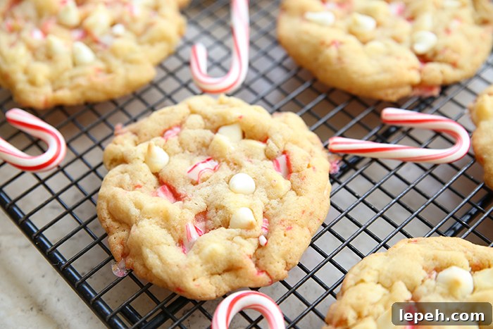 A cooling rack with small candy canes and peppermint cookies with white chocolate chips.