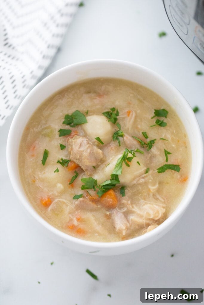 Overhead image: white bowl full of chicken and dumplings topped with parsley.