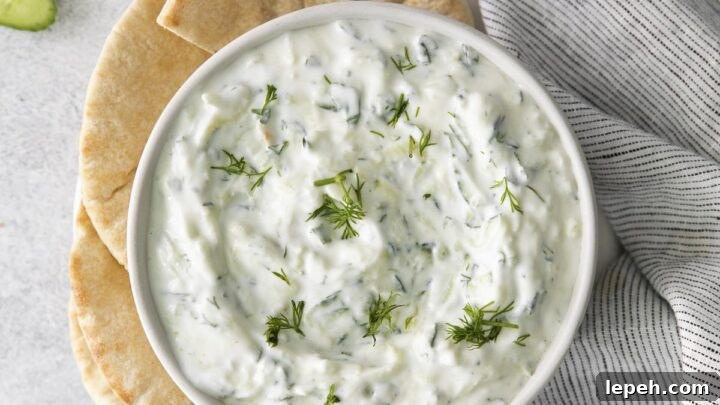 A white bowl of tzatziki dip, viewed from above, served with toasted pita and crudite