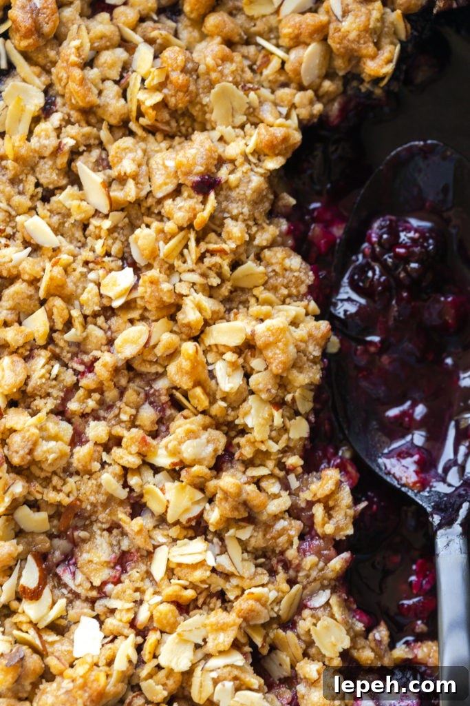 Mixed Berry Oat Almond Crisp fault line