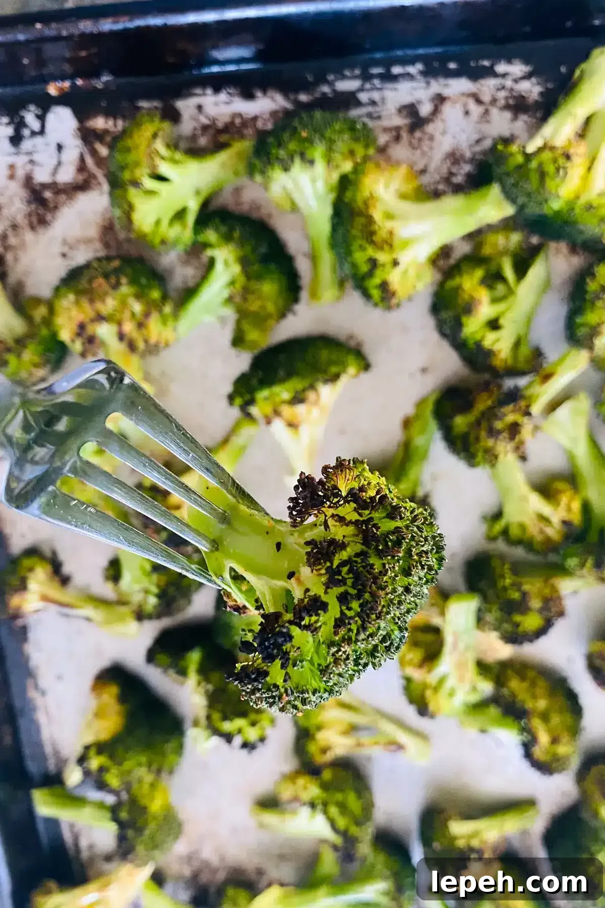 broiled broccoli on a fork.