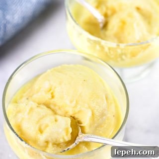 Fresh Pineapple Sorbet Recipe - Fresh pineapple sorbet makes a light and refreshing dessert or snack! Made without any added sugar, this is a sorbet recipe everyone will enjoy! // addapinch.com