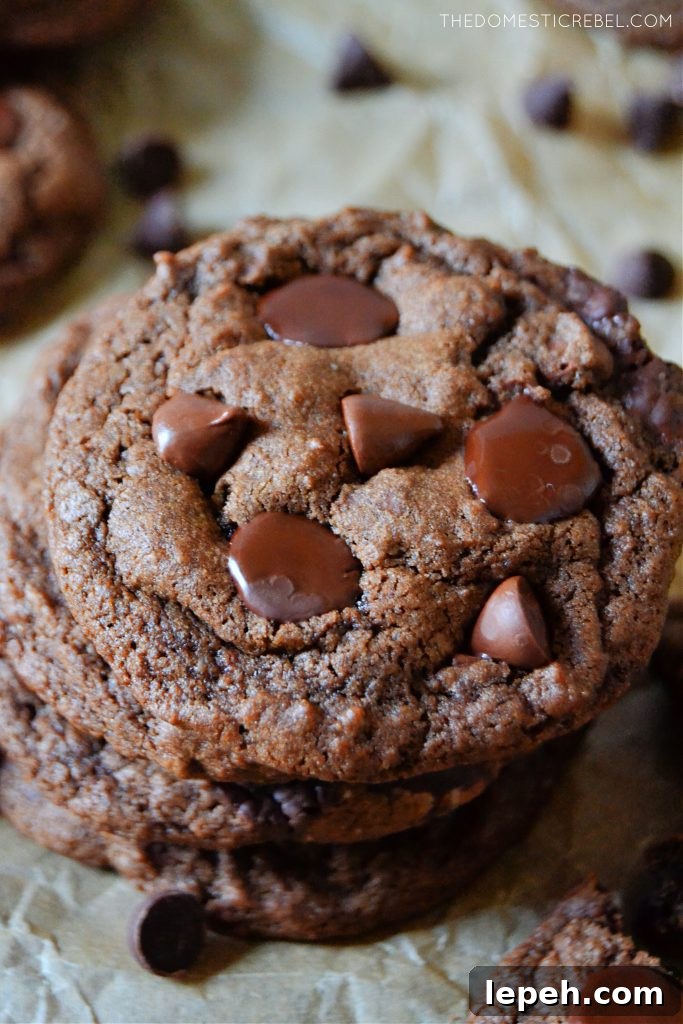 a small stack of choco choco chip cookies