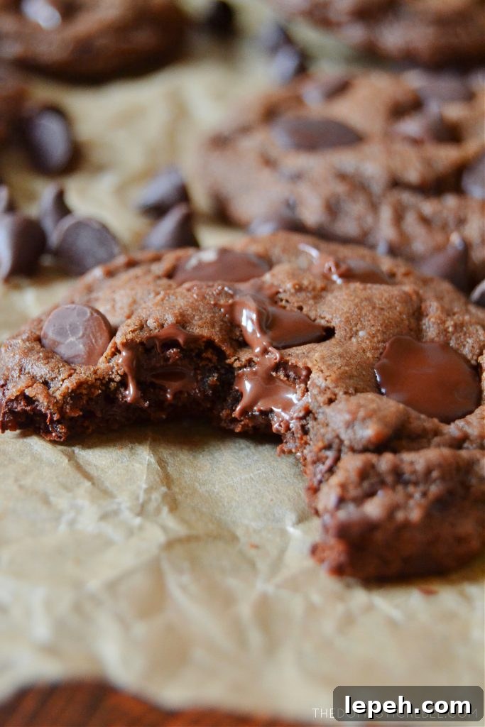 closeup of a bitten chocolate chip cookie on brown paper