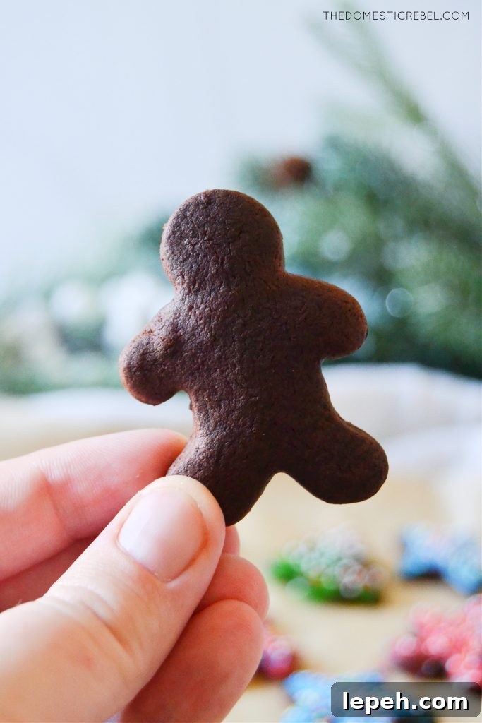 author holding a chocolate cut-out gingerbread cookie