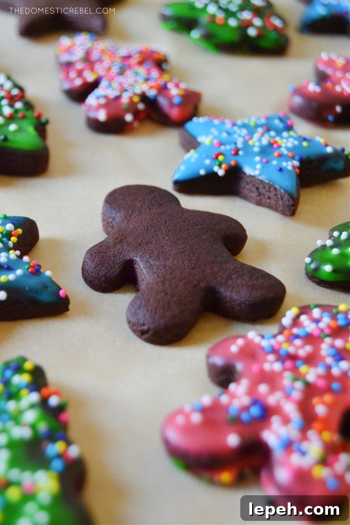 an assortment of chocolate sugar cookies on a piece of parchment