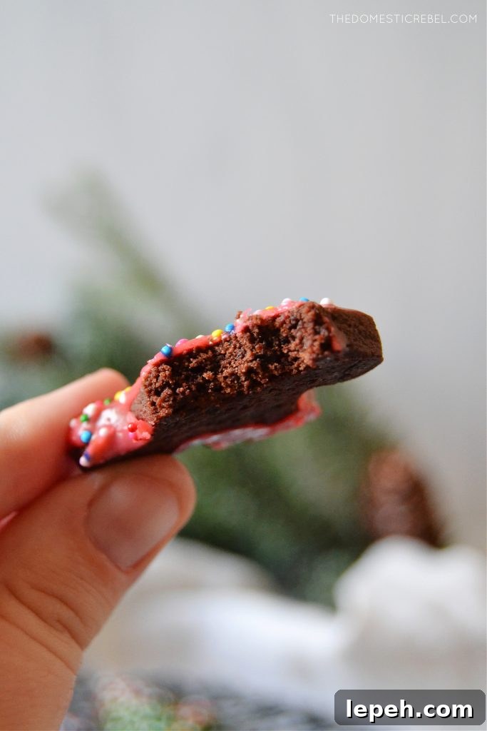 author holding a bitten chocolate sugar cookie