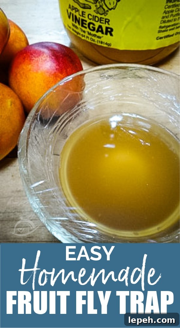 Fresh fruit with a bowl of vinegar - A Reinvented Mom