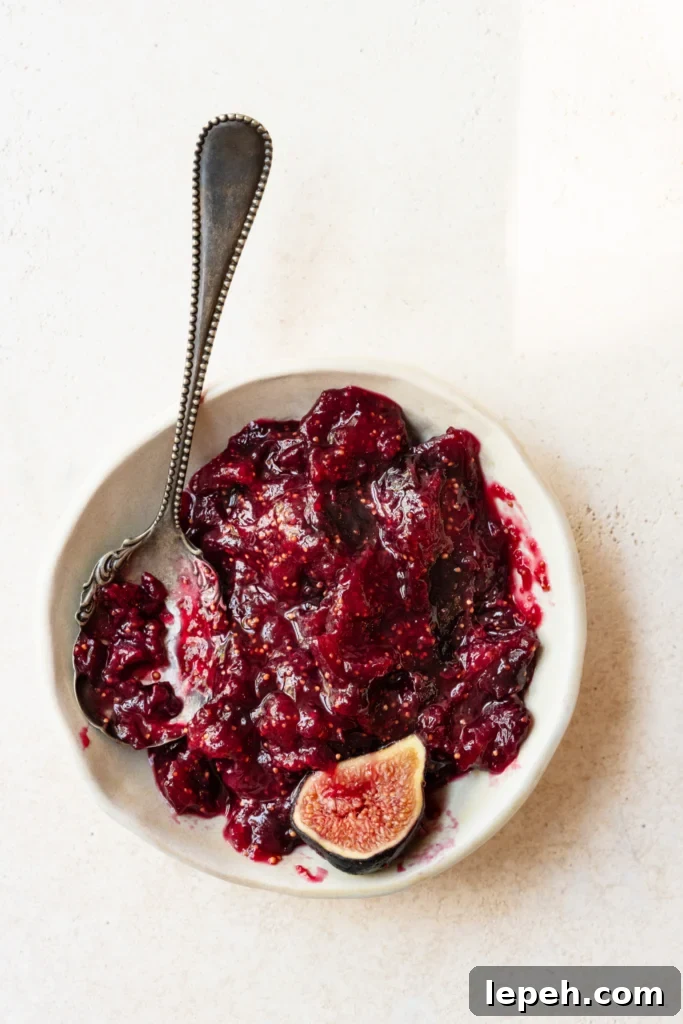 Chunky fig jam in a bowl with a spoon and sliced fig.