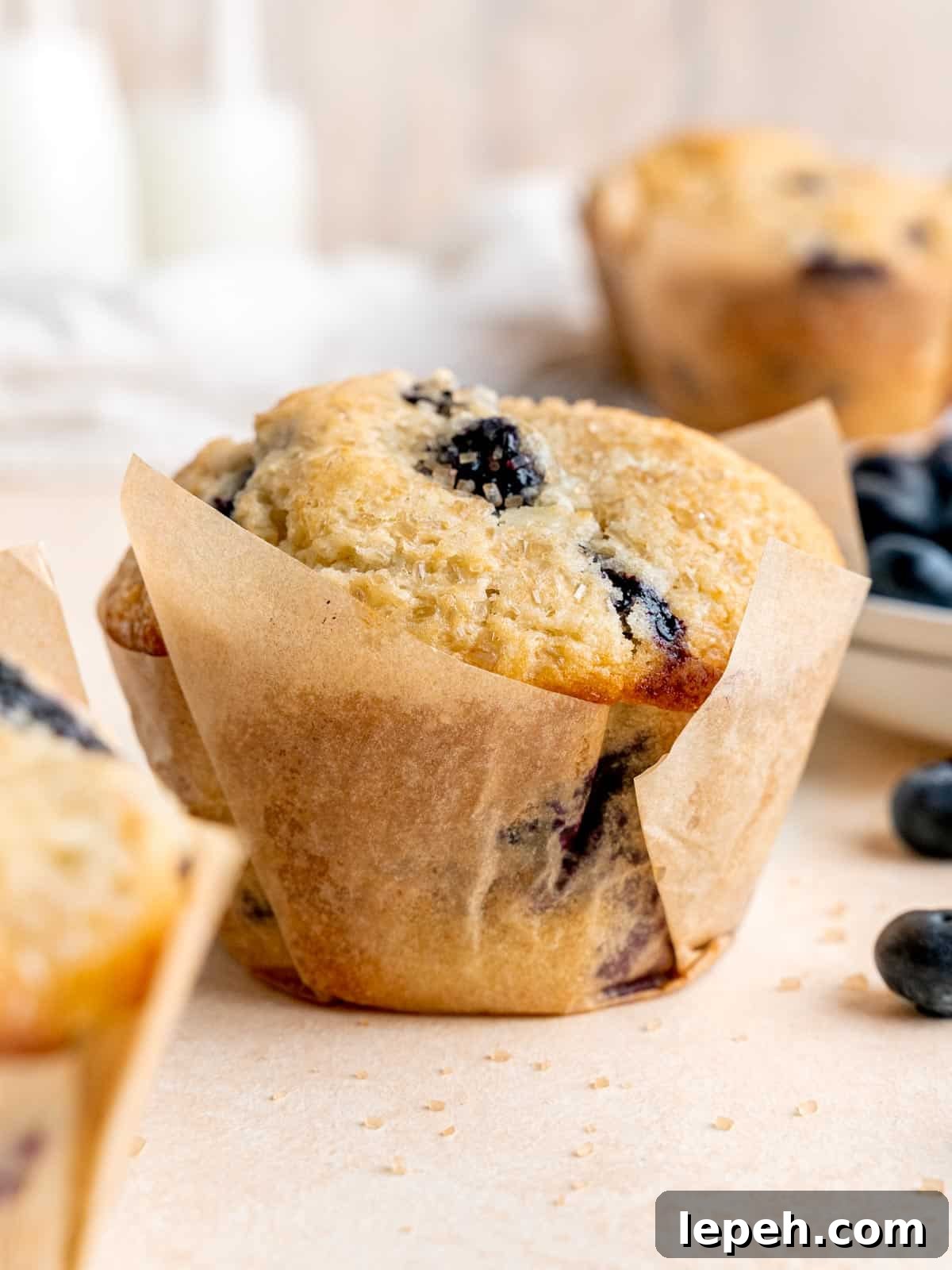 blueberry-sourdough-discard-muffins-8