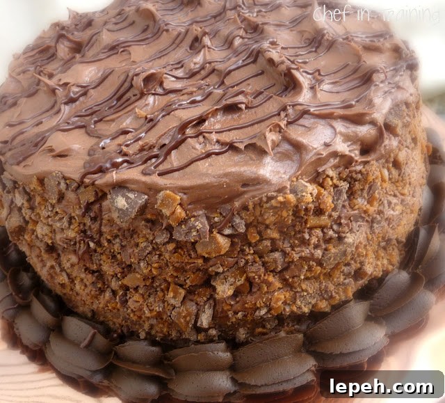 Slice of chocolate cake
