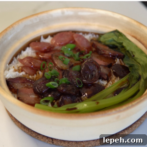 clay pot rice