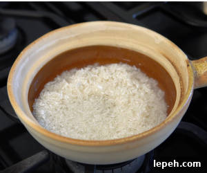 rice in pot