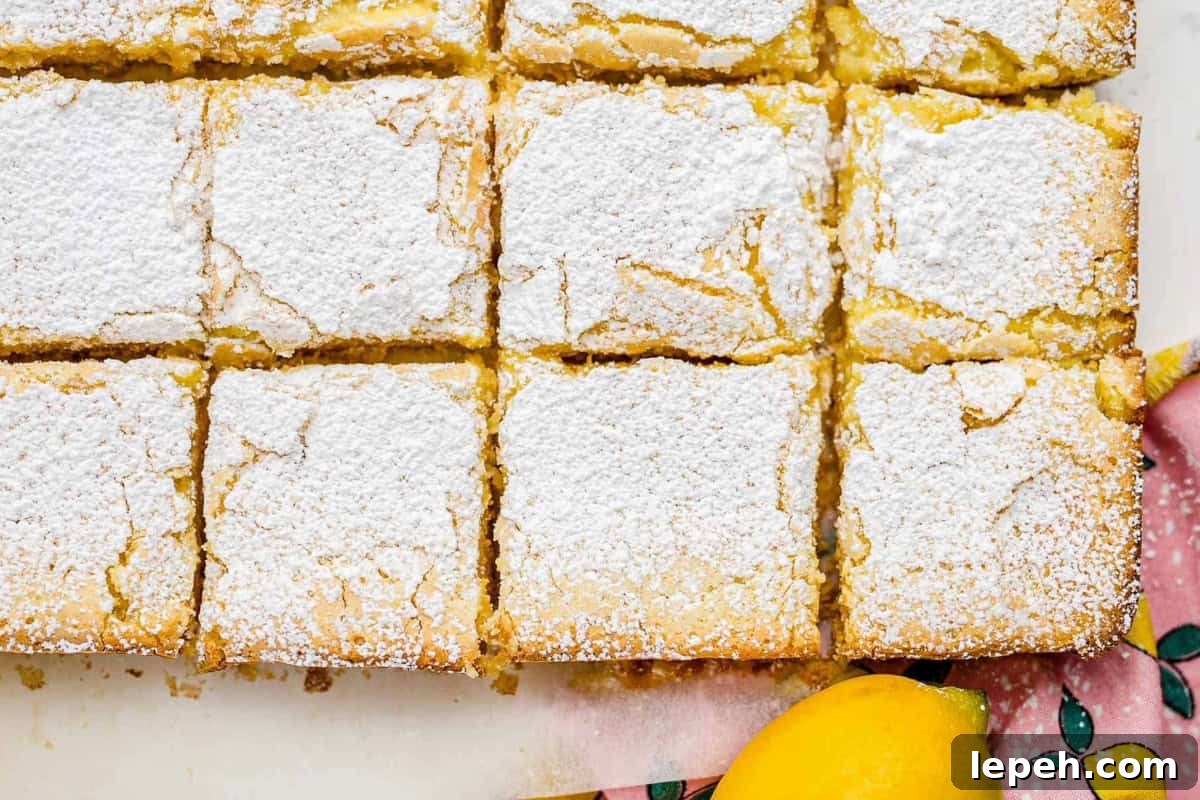 partial overhead view of cut lemon bars with powdered sugar on top.