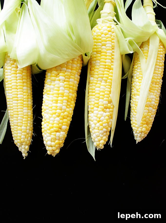 Beautiful Sweet Corn