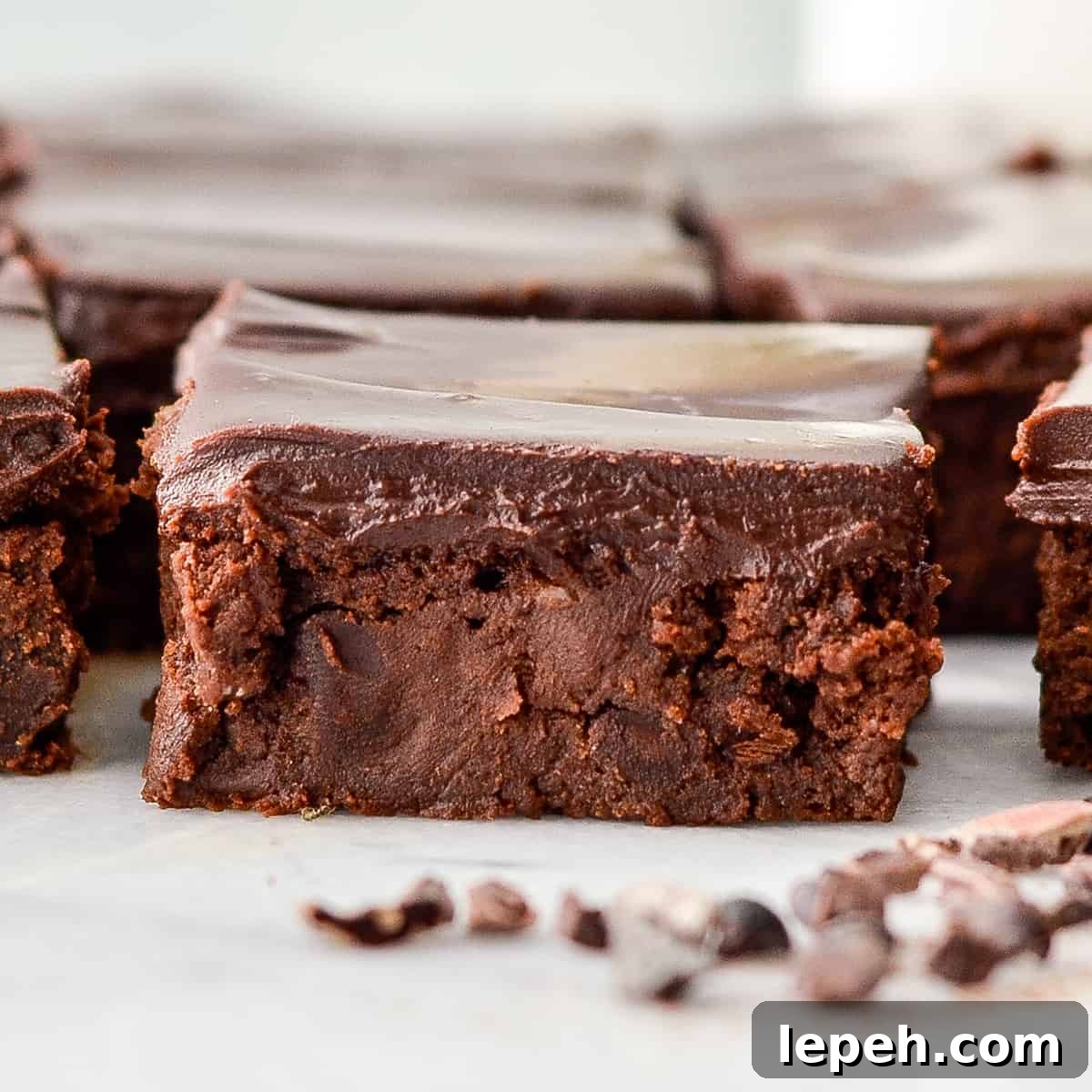 up close front view of one healthy brownie