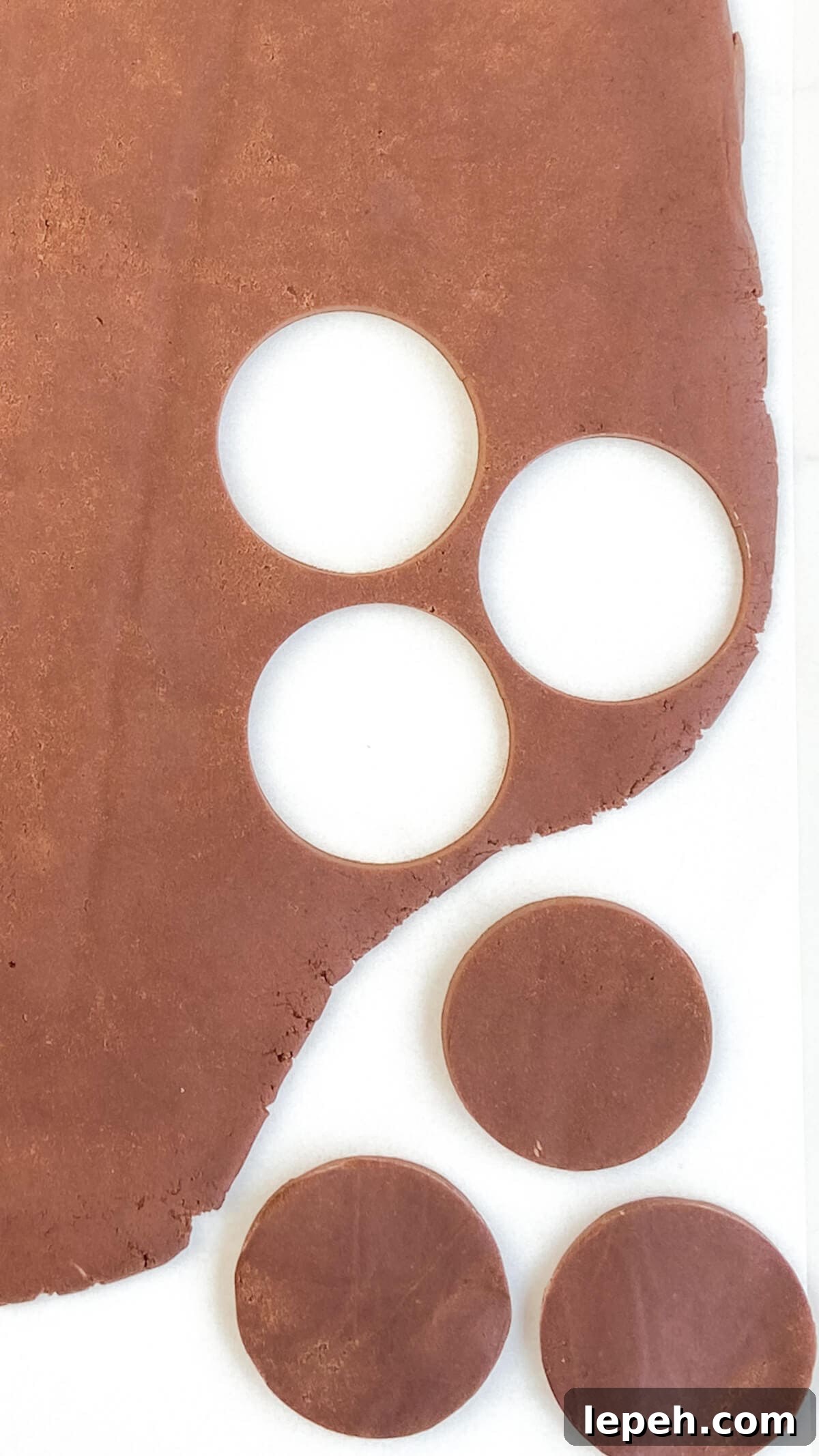Dough rolled out and cookies cut out in a round shape before baking.