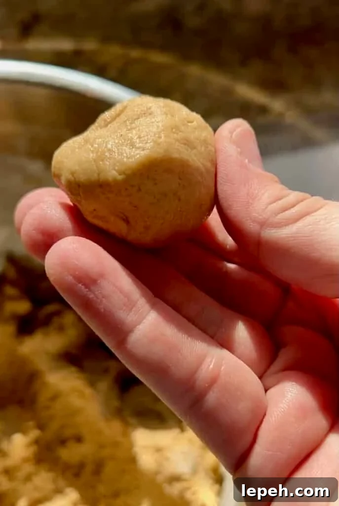 A ball of maple brown sugar sourdough cookie dough rolled and ready to chill.