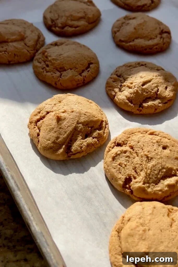 A pan of freshly baked maple brown sugar sourdough cookies.