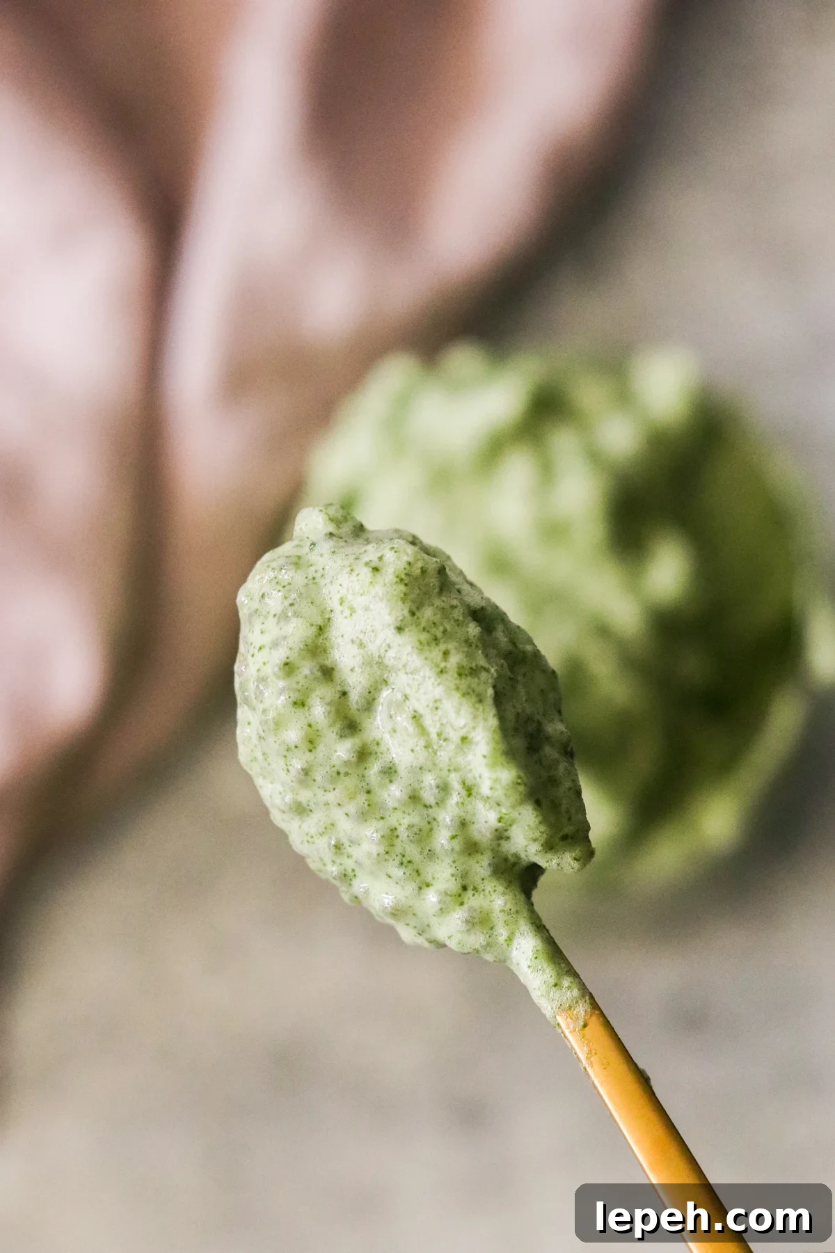 a gold spoon holding up a scoop of pudding to show the texture and consistency. 