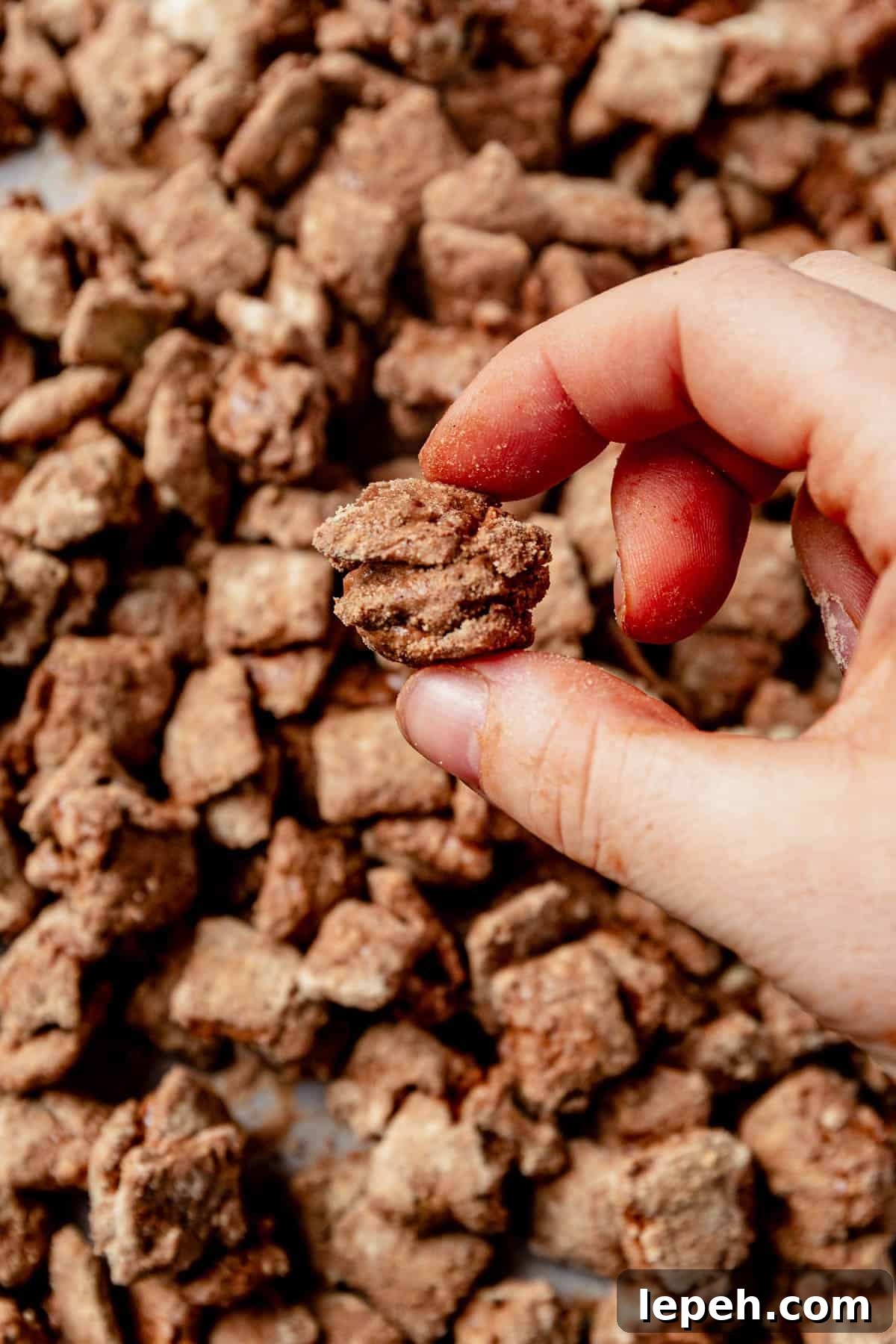 holding a cluster of protein puppy chow