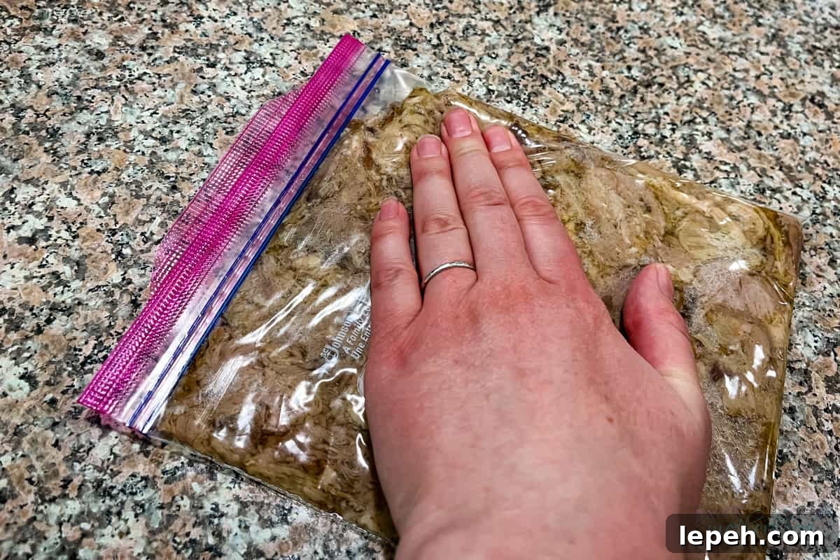 Hand working pork into last open corner of ziploc