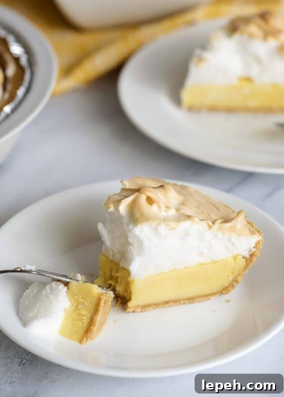 Taking A Bite Of Orange Meringue Pie