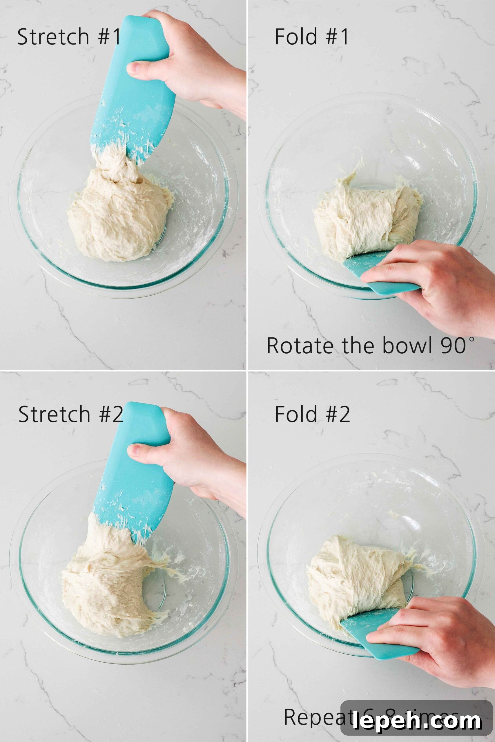 Graphic detailing two stretch and folds for small batch focaccia.