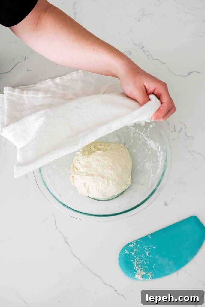 Folded focaccia dough in a mixing bowl about to be covered by a kitchen towel.