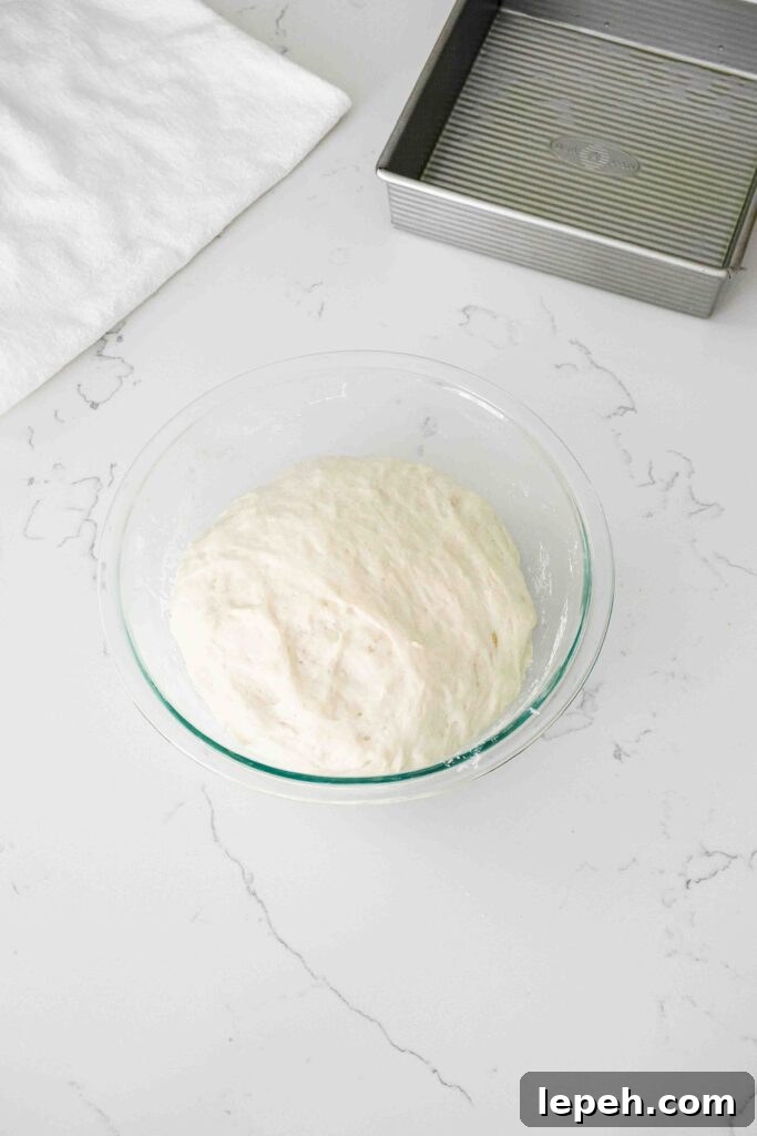 Fluffy focaccia dough in a mixing bowl after the first proof.