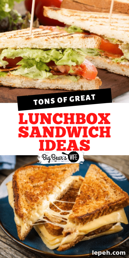 If you need to pack lunches for school or work this year, you're going to want these recipes, ideas and tips and tricks with all of these Lunchbox Sandwich Ideas!