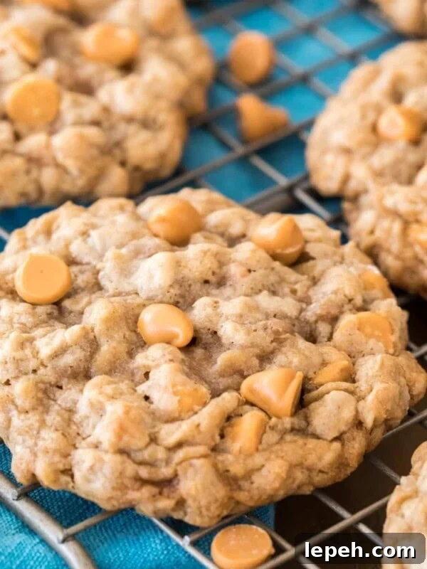 Oatmeal Scotchies