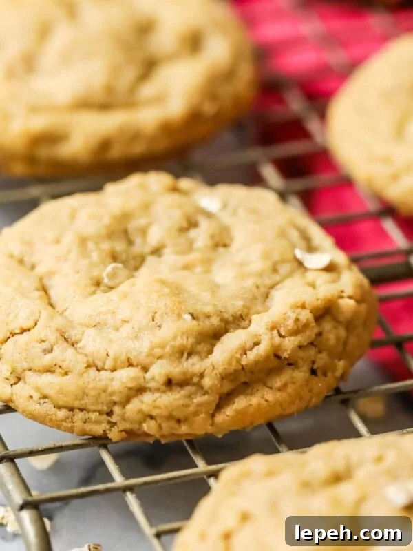 Peanut butter oatmeal cookies cooling on a gold cooling rack