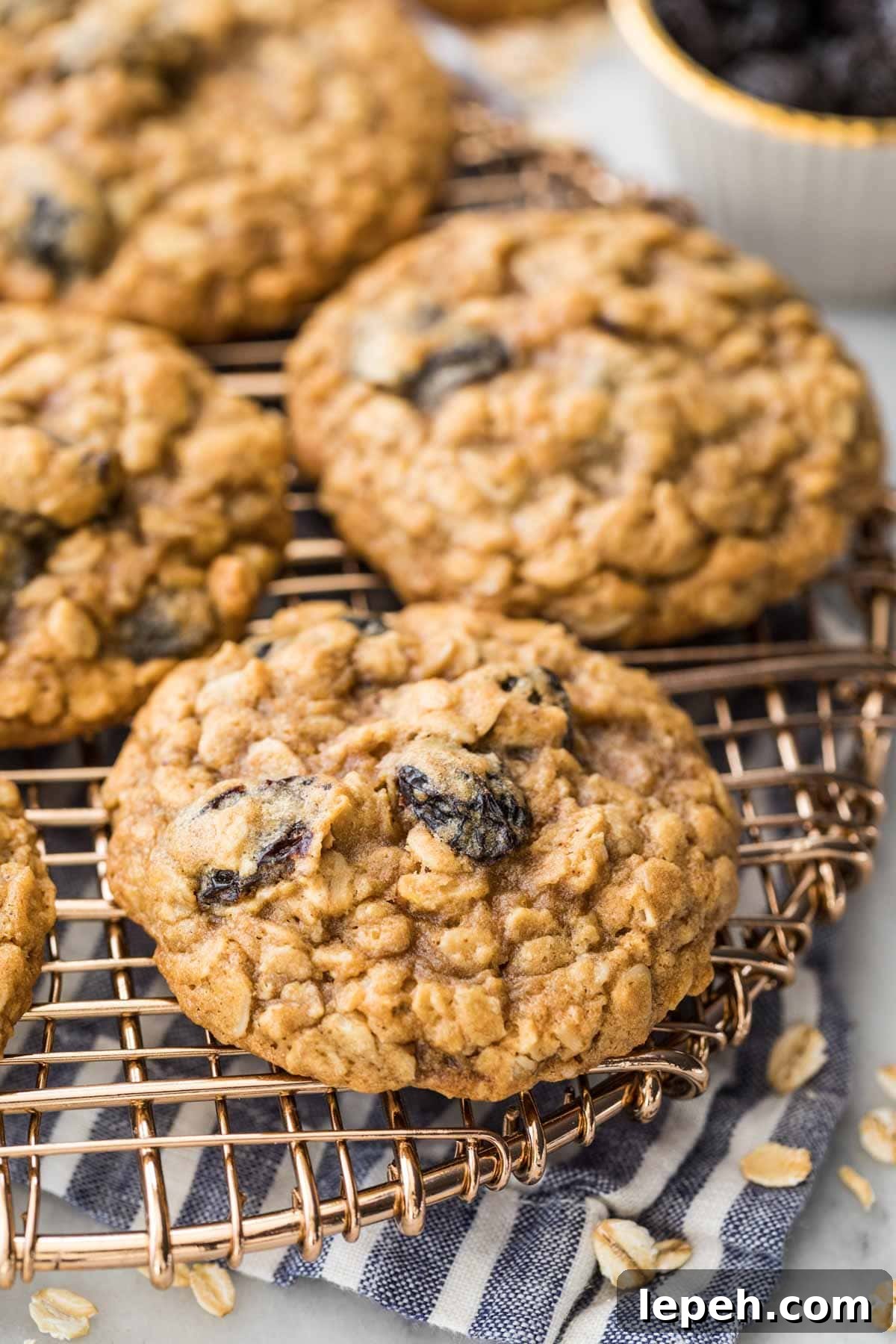 overhead view of baked oatmeal cookies studded with raisins