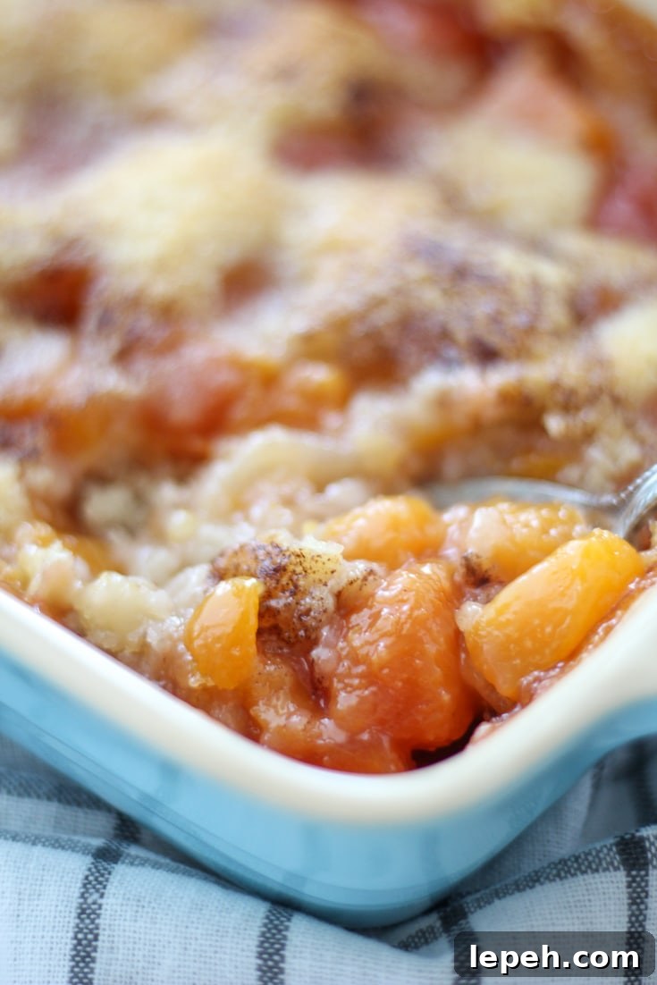 Peach cobbler being scooped out of it's pan.