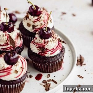 black forest cupcakes with a cherry on top on porcelain plate