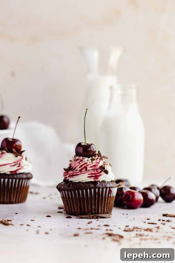 black forest cupcake with cherry on top
