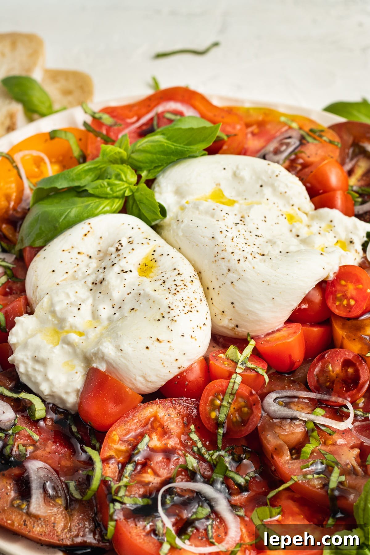 Close-up picture of burrata on a bed of sliced tomatoes. 