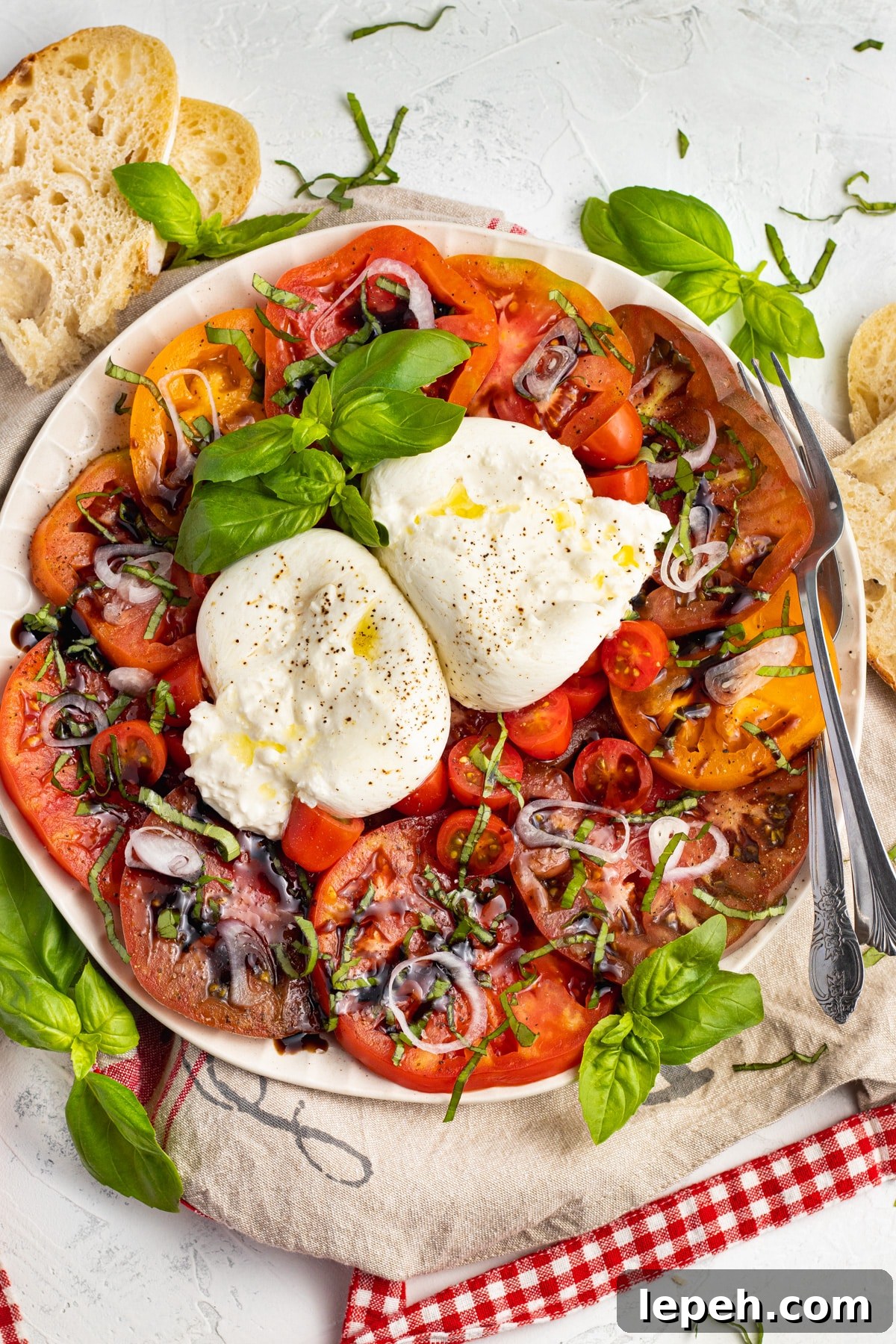Picture of plate with tomatoes, burrata, shallots and basil. 