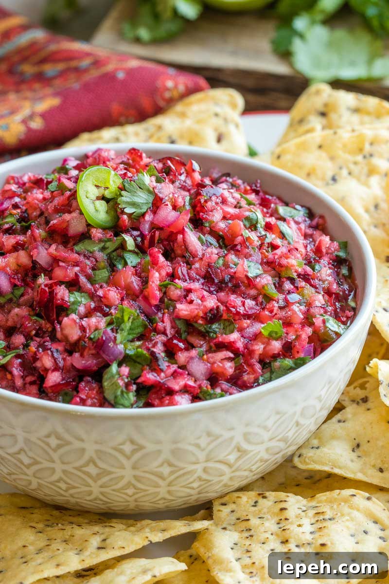 Closeup of salsa in bowl surrounded by chips, so you can really see the texture of cranberry bits with flecks of jalapeno and cilantro.
