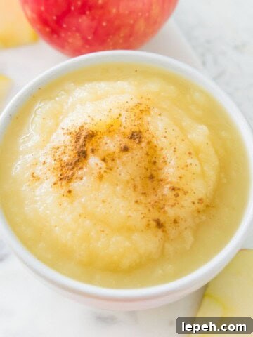A bowl of applesauce with cinnamon sprinkled on top of it.