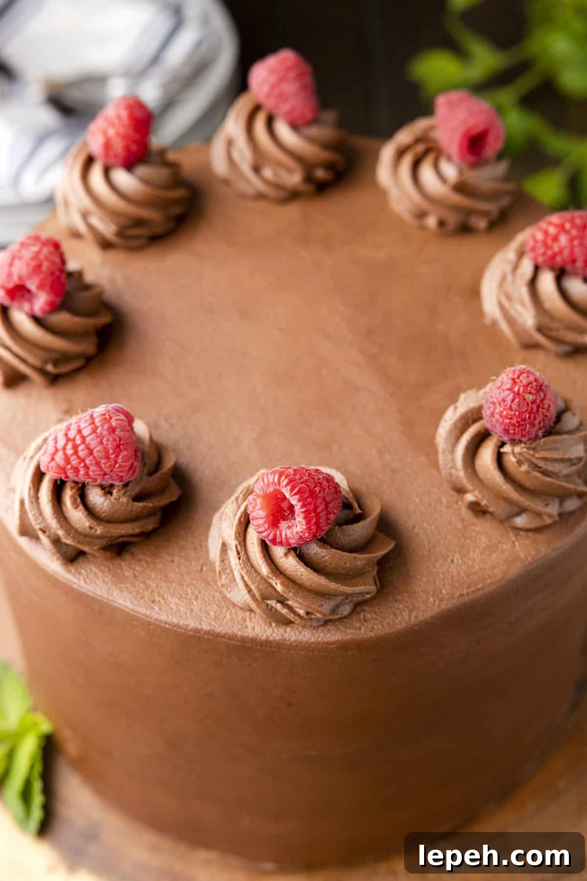 View of top of chocolate raspberry cake with buttercream swirls topped with raspberries