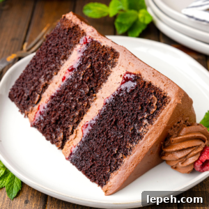 Slice of chocolate raspberry cake on plate