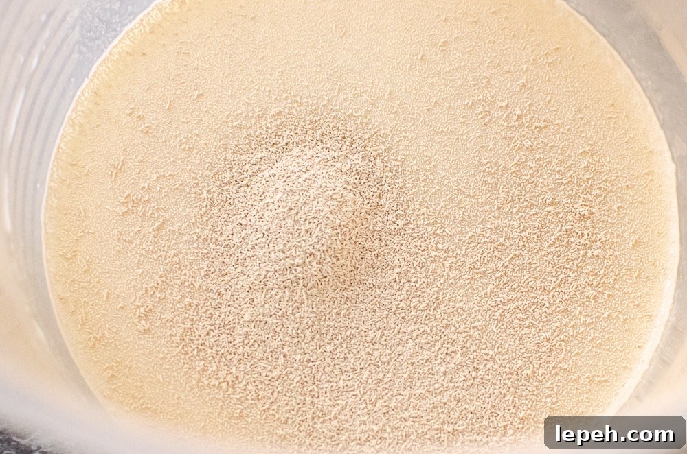 Yeast mixed with warm milk in a bowl 