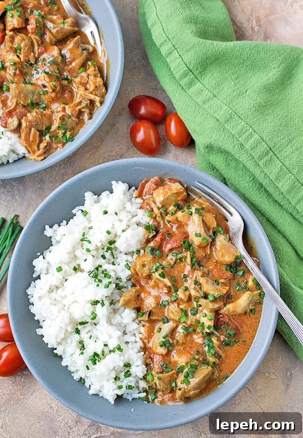 Paleo Curry Closeup