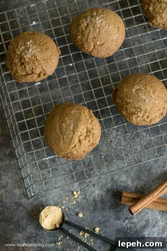 The top view of the gluten-free ginger cookies.