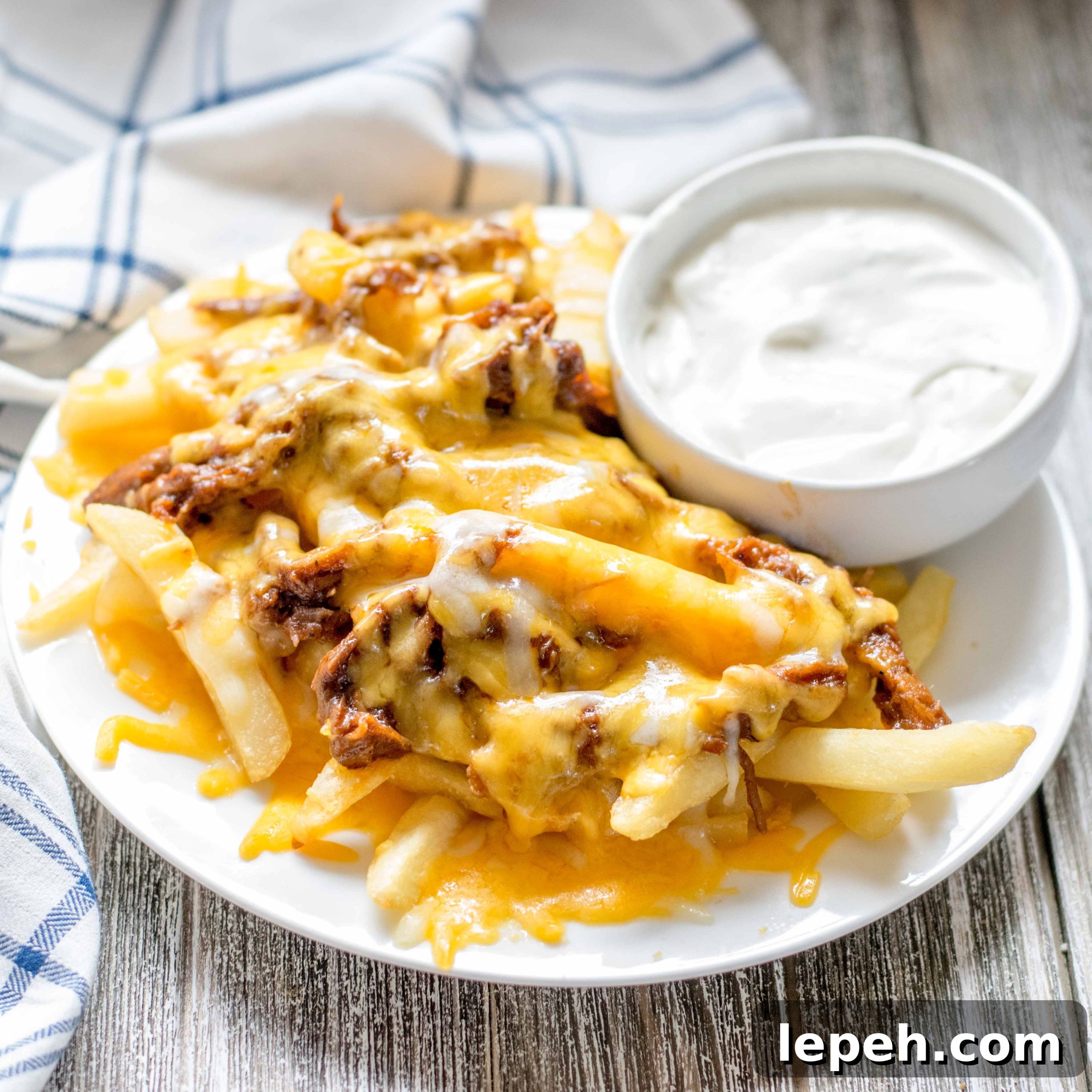 BBQ Pork Cheese Fries