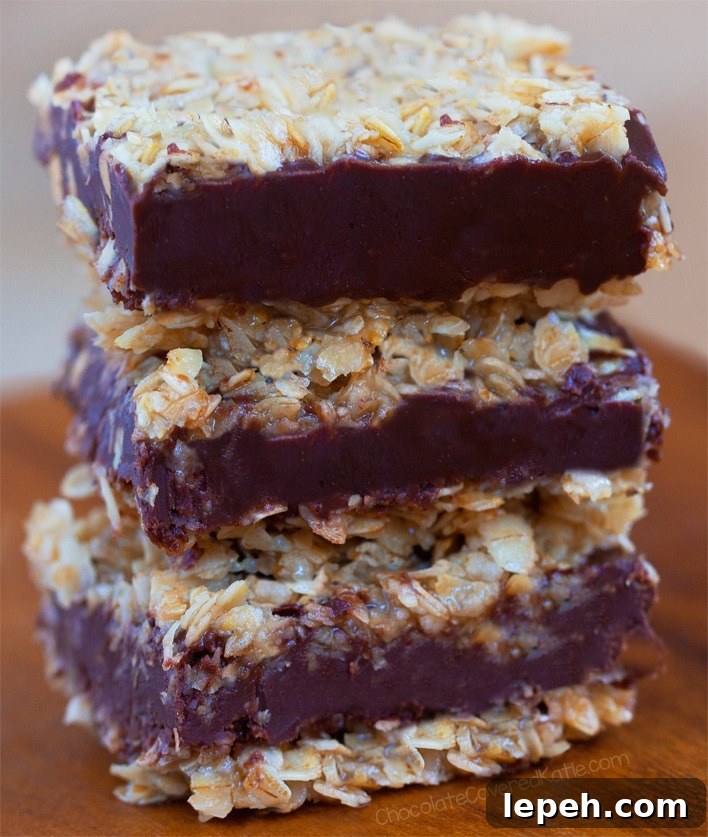 7 Ingredient Easy Chocolate Oatmeal Fudge Bars