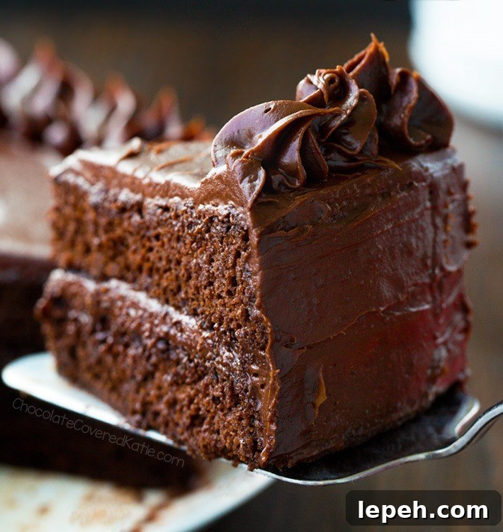 Secretly Vegan Low Carb Flourless Chocolate Cake Recipe